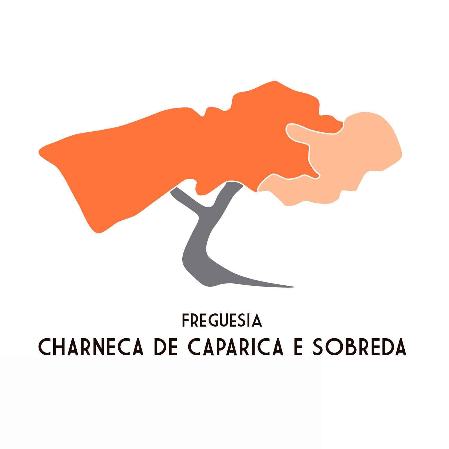 Logo Entidade